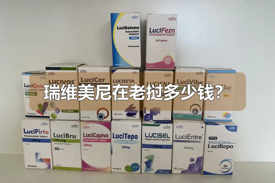 瑞维美尼在老挝多少钱?